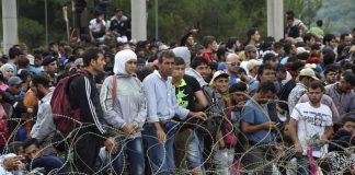 România va primi refugiați din Siria