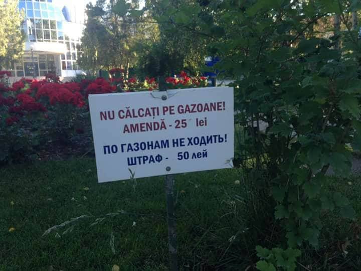 În limba română e mai ieftin