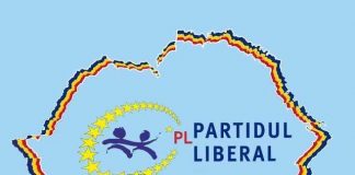 Cererea PL privind scoaterea de cursă a PSRM, respinsă de Curtea de apel