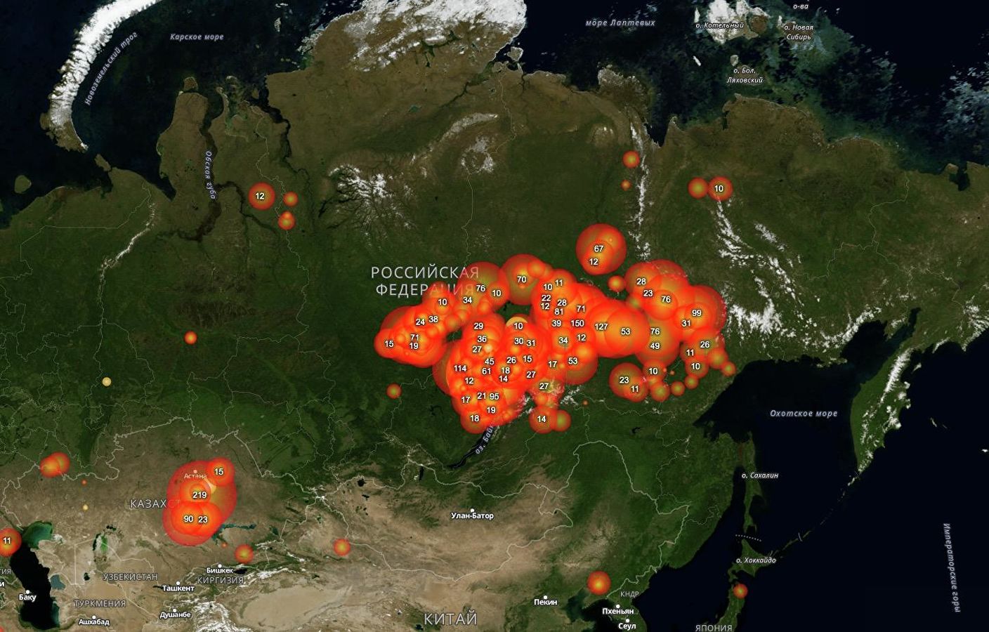 Rusia/// Focul a cuprins deja 4,5 milioane de hectare de pădure