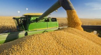 România conduce topul exportatorilor de grâu din zona Mării Negre şi din UE