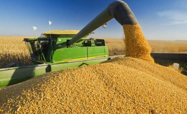 România conduce topul exportatorilor de grâu din zona Mării Negre şi din UE