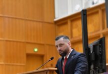 Apel în Parlament pentru simplificarea redobândirii cetățeniei